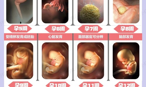 儿童发烧出汗后怎么处理方法、儿童发烧出汗后怎么处理方法 -孩子发烧出汗后吃什么网